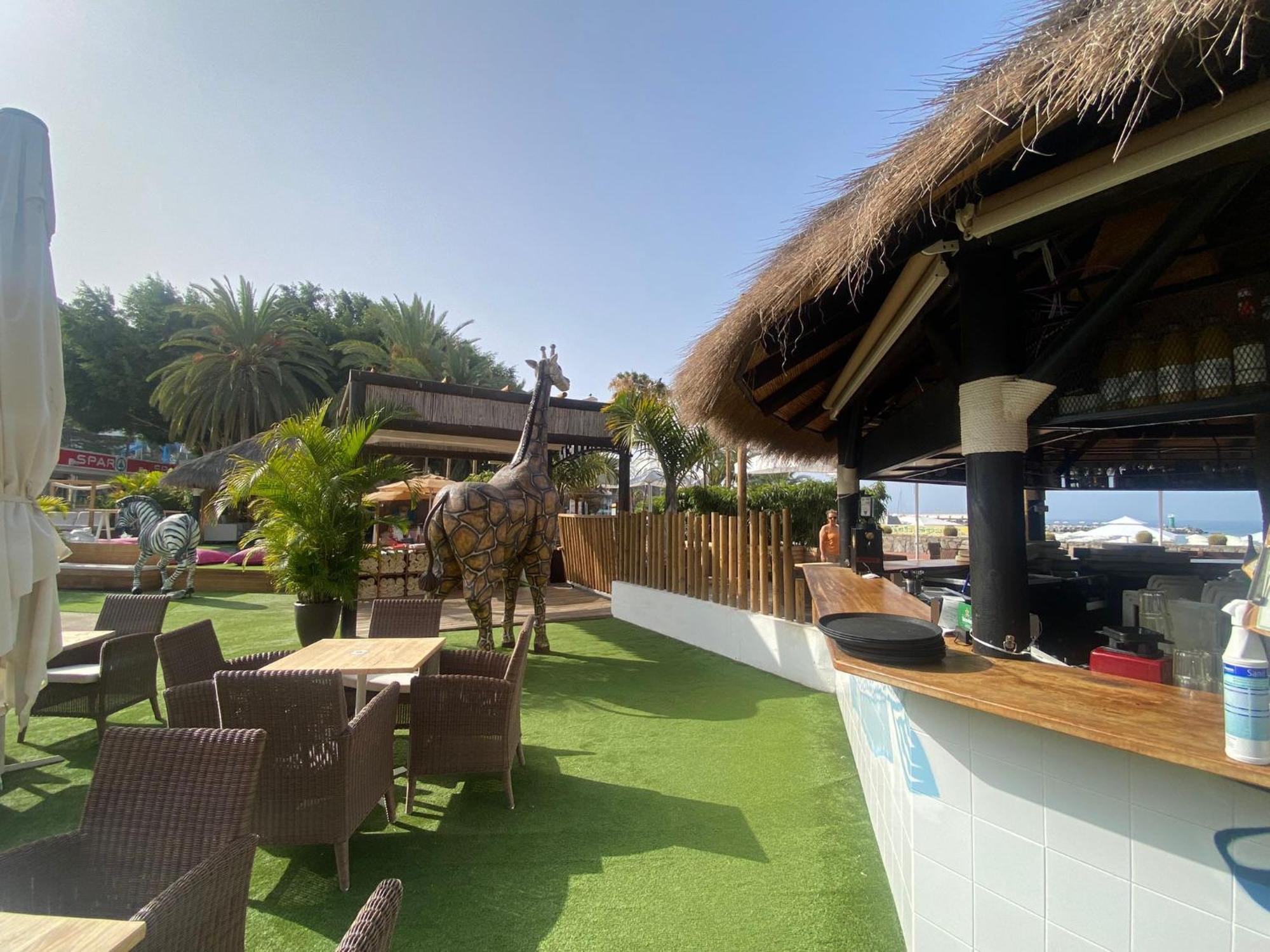 New Renovated Family Home Above Swimming Pool Puerto Rico  Esterno foto